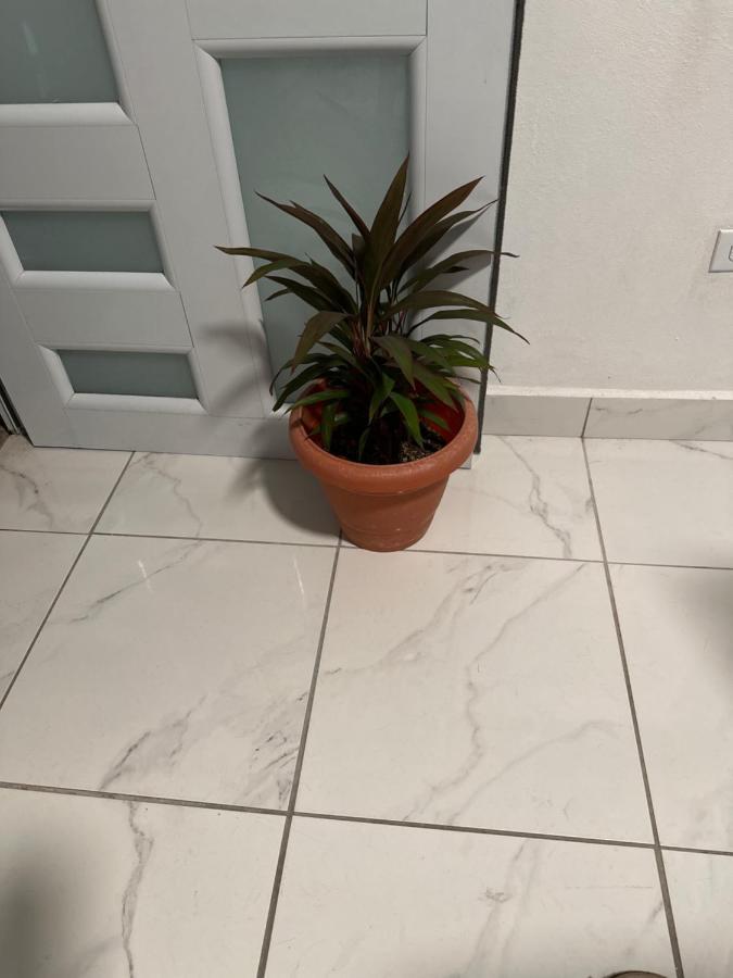 Second Floor 2Br Apt In The Center Of Santurce Apartment San Juan Exterior foto